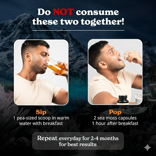 BetterAlt Shilajit Sea Moss Tongkat Ali Ashwagandha - All-in-One Supplement in Pakistan